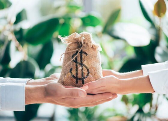 Investimento de R$ 500 por mês Aprenda como diversificar seus recursos