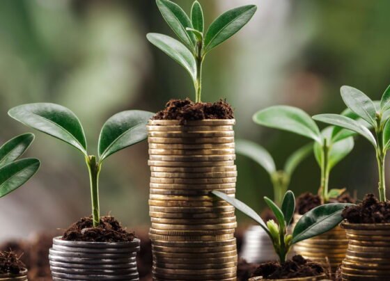 Novo no mundo dos investimentos Não tem problema, tira suas dúvidas