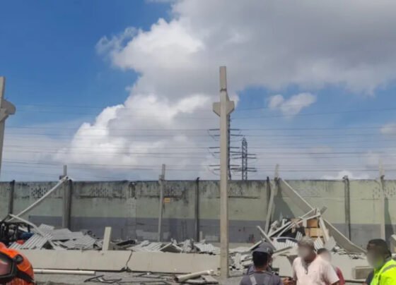 Desabamento de Galpão no Porto de Santos deixa 4 feridos