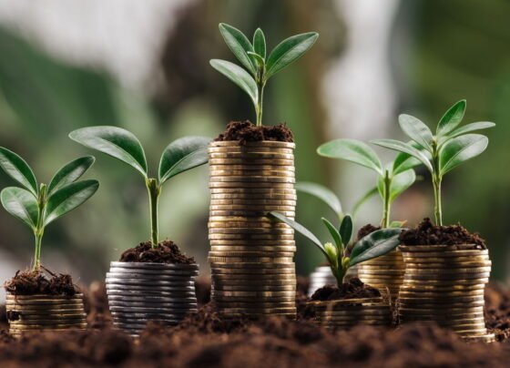 Quem começa a investir aos 18 anos pode alcançar a independência antes dos 30
