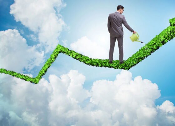 Saiba tudo sobre investimentos ESG que o veteranos tentam esconder