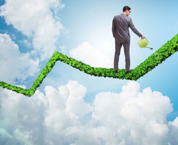 Saiba tudo sobre investimentos ESG que o veteranos tentam esconder