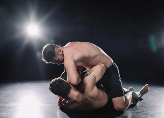 Os estilos de luta que mais se destacam no cenário atual do MMA