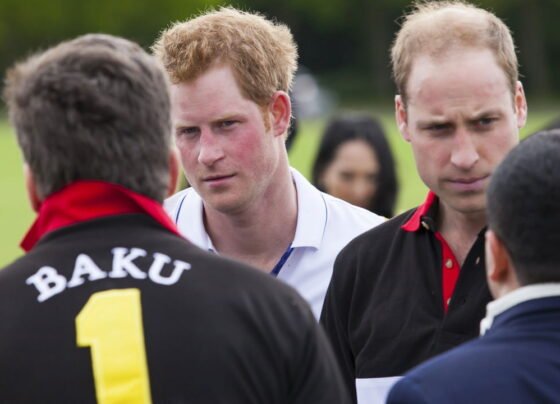 Príncipes William e Harry perdem herança milionária