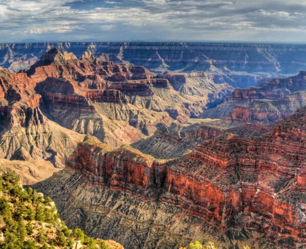 Vírus mortal é encontrado no Grande Canyon