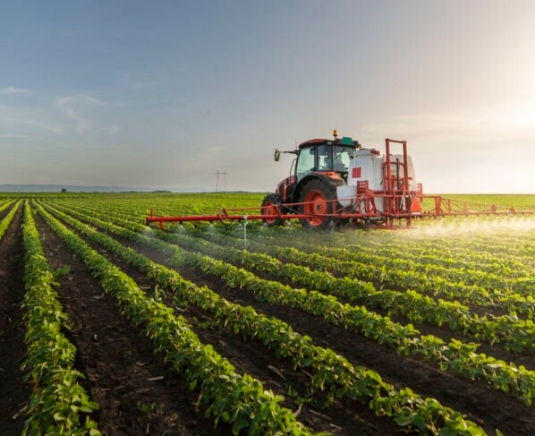 crise agro austrália